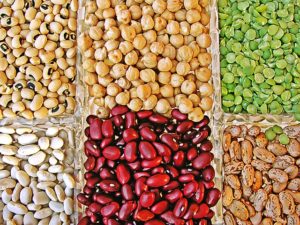 Legumes and Legume Products